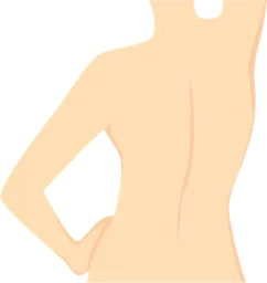 back.webp